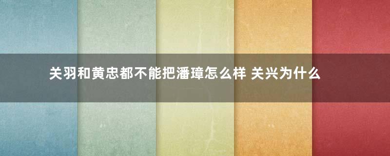 关羽和黄忠都不能把潘璋怎么样 关兴为什么能斩杀潘璋